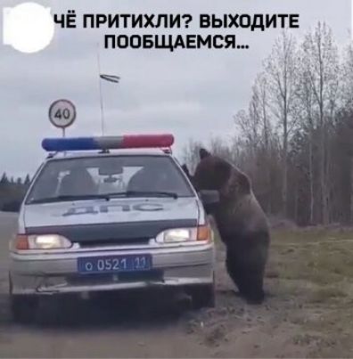 ЧЁ ПРИТИХЛИ ВЫХОДИТЕ ПООБЩАЕМСЯ
