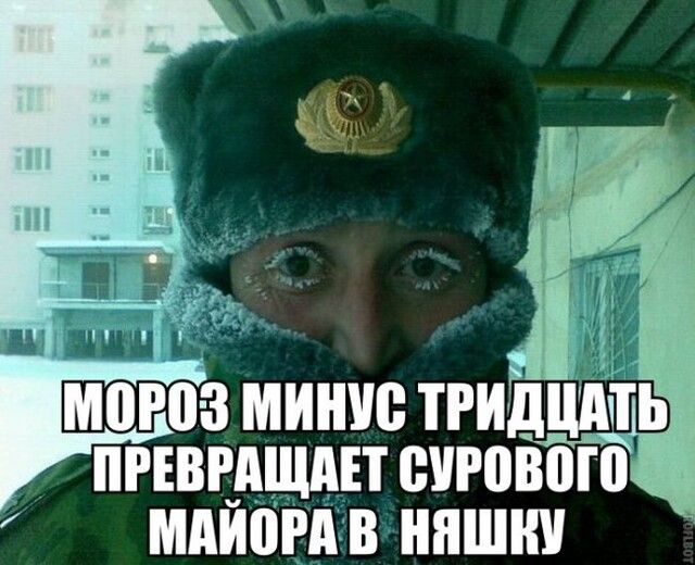 ЮЮЗ МИШЮ ТРИДЦШТ ПРЕВРАЩАП ВУРОВВШ МАЙША В ШШШ