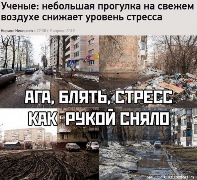Ученые небольшая ПРОГУПКЭ на свежем воздухе снижает уровень стресса
