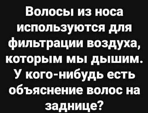 Волосы из носа используются для фильтрации воздуха которым мы дышим У кого нибудь есть объяснение волос на заднице