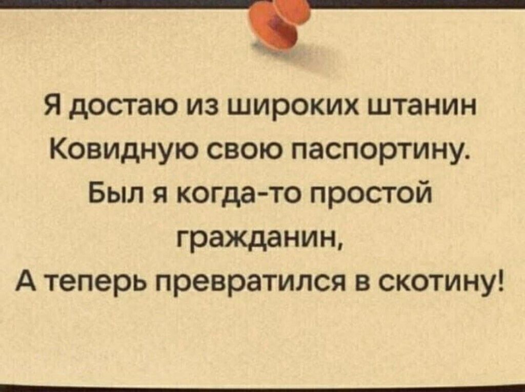 _ Я достаю из широких штанин Ковидную свою паспортину Был я когда то простой гражданин А теперь превратился в скотину