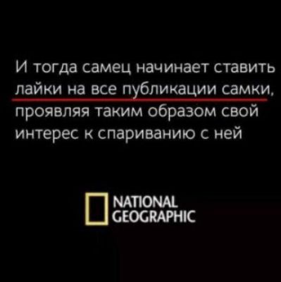 И тогда самец начинает ставить лайки на все пЁликации самки проявляя таким образом свой интерес спариванию с ней