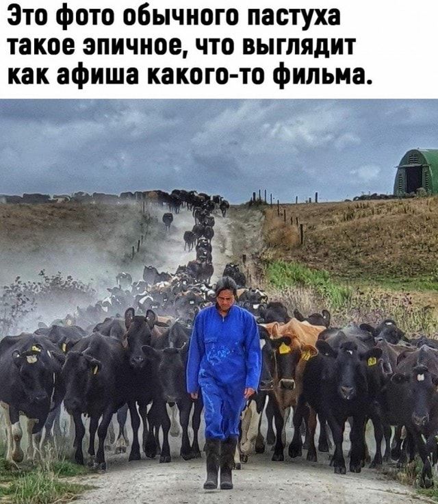 Это фото обычного пастуха такое эпичное что выглядит как афиша какого то фильма