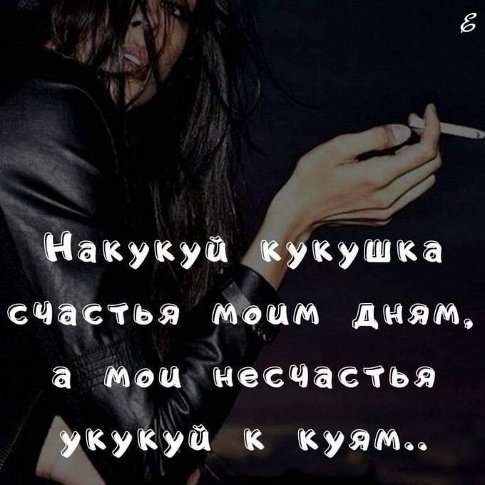 счастья тёщи дмящ шддгаесщастья и ума