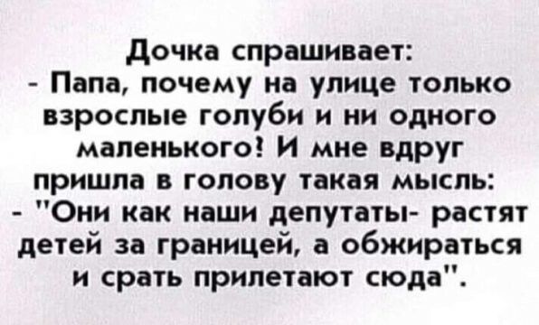 дочка спрашивает Папа почему на улице только взрослые голуби и ни одного маленького И мне вдруг пришла в голову такая мысль Они как наши депутаты растят детей за границей а обжираться и срать прилетают сюда