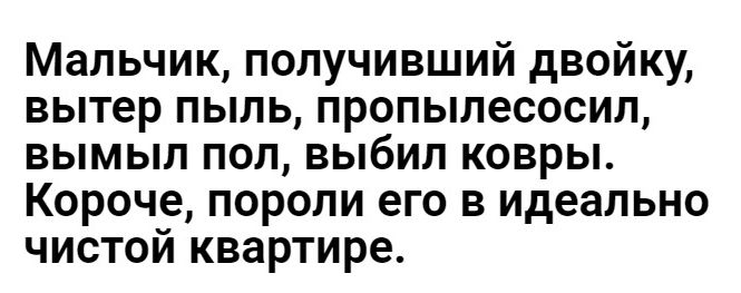 Мальчик получивший двойку вытер пыль пропылесосил вымыл пол выбил ковры Короче пороли его в идеально чистой квартире