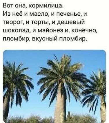 Вот она кормилица Из неё и масло и печенье и творог и торты и дешевый шоколад и майонез и конечно пломбир вкусный пломбир