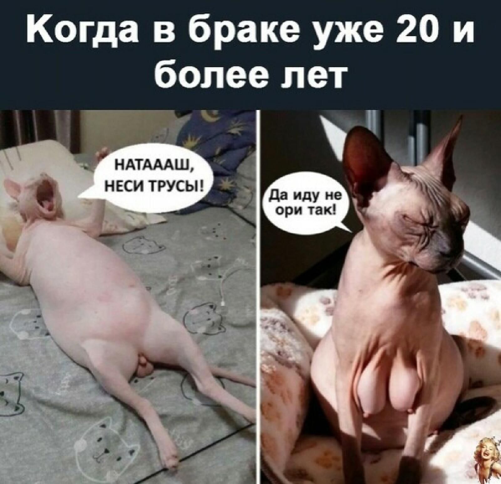 Когда в браке уже 20 и более лет _ А НдьТді14а Ш НЕСИ ТРУСЫ 3 да идут не _ _ при так т 21