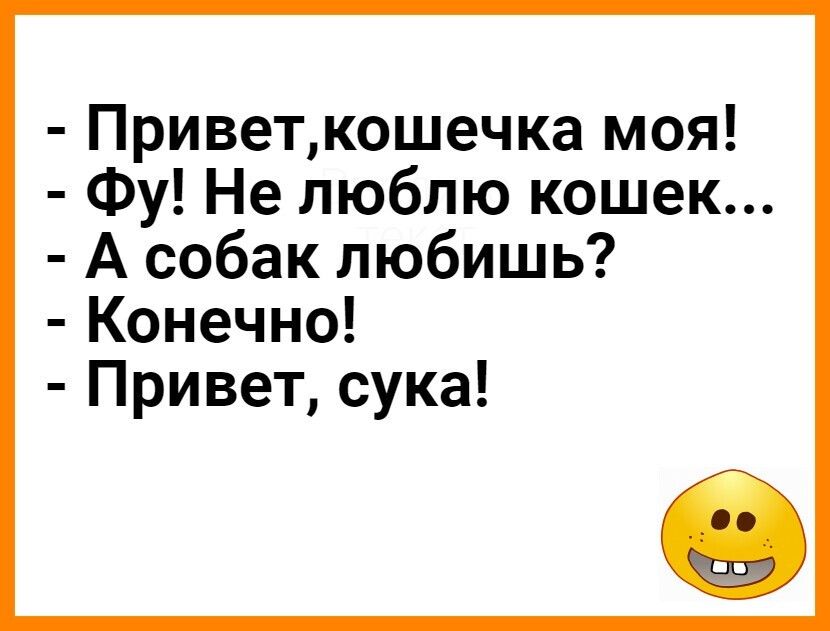 Приветкошечка моя Фу Не люблю кошек А собак любишь Конечно Привет сука