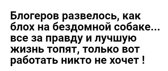 Блогеров развелось как блох на бездомной собаке все за правду и лучшую жизнь топят только вот работать никто не хочет