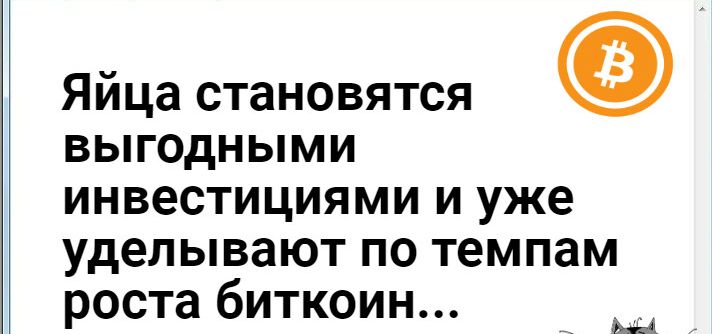 Яйца становятся выгодными инвестициями и уже уделывают по темпам роста биткоин 4