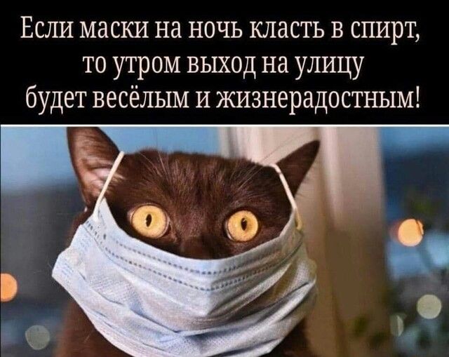 Если маски на ночь класть в спирт то утром выход на улицу будет весёлым И жизнерадостным