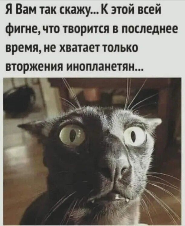 Я Вам так скажу К этой всей фигне что творится в последнее время не хватает только вторжения инопланетян