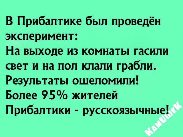 В Прибалтике был проведён эксперимент На выходе из комнаты гасили свет и на пол клали грабли Результаты ошеломили Более 95 жителей Прибалтики русскоязычные