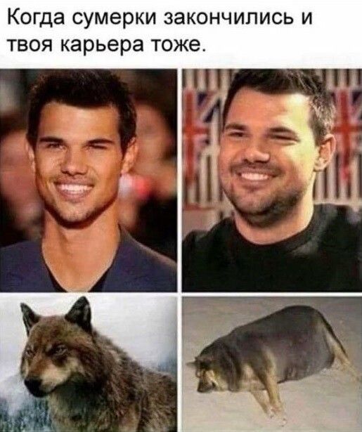 КОГДЭ СУМЭРКИ ЗЗКОНЧИПИСЬ И ТВОЯ карьера тоже