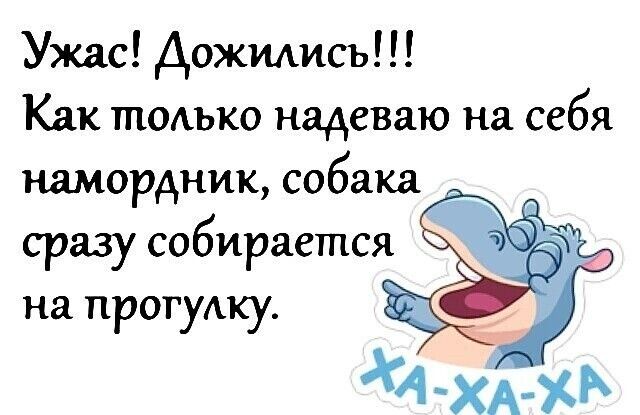 Ужас Дожидись Как тодъко надеваю на себя намордник собака