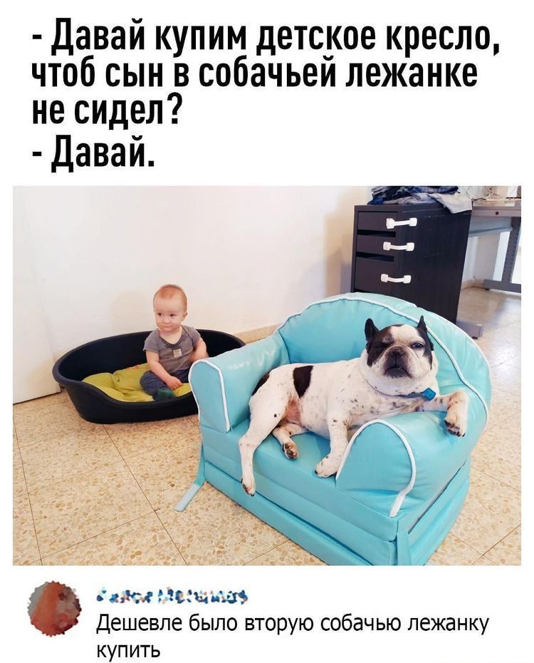 Давай купим детслое кресло чтоб сын в собачьем лежанке не сидел Давай 351 или ыыы 13 Дешевле было вторую собачью лежанку купить