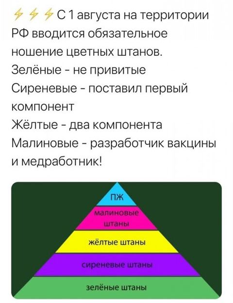 С 1 августа на территории РФ вводится обязательное ношение цветных штанов Зелёные не привитые Сиреневые поставил первый компонент Жёлтые два компонента Малиновые разработчик вакцины и медработник А желтые штаны зелёные штаны