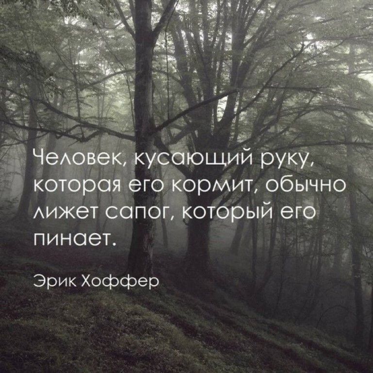 Эрик Хоффер
