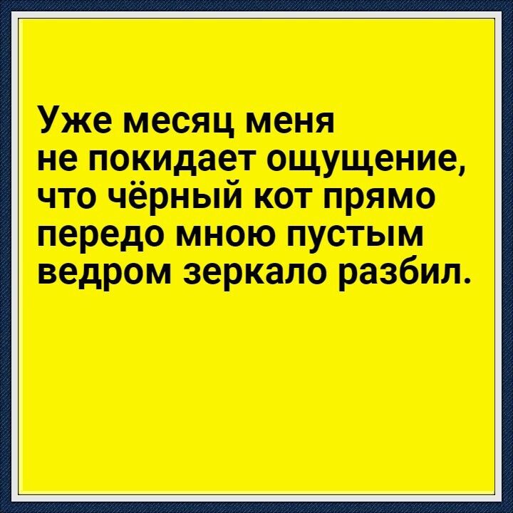 Уже месяц меня не покидает ощущение что чёрный кот прямо передо мною пустым ведром зеркало разбил