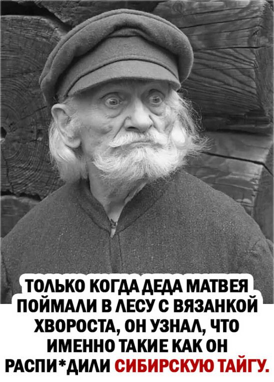 ТОАЬКО К0ГАА АЕАА МАТВЕЯ ПОИМААИ В АЕСУС ВЯЗАНК0И ХВОРОСТА ОН УЗНАА ЧТО ИМЕННО ТАКИЕ КАК ОН _ РАСПИАИАИ СИБИРСКУЮ ТАИГУ