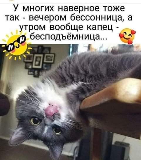 У МНОГИХ наверное Тоже ТЭК ВЕЧЕРОМ бессонница а ром вообще капец бесподъёмница