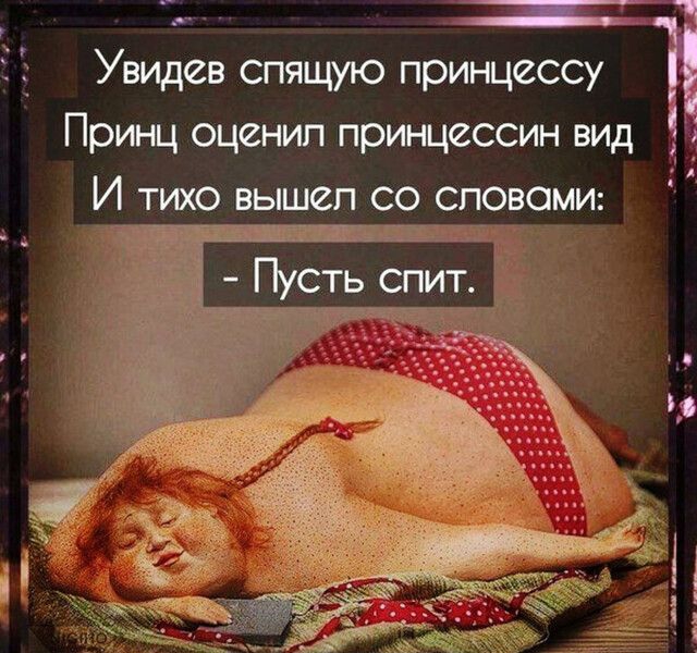 Увидев спящую принцессу Принц оценил принцессин вид И тихо вышел со слов ии