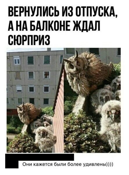 ВЕРНУЛИБЬ ИЗ 0ТПУ0КА А НА БАЛКПНЕ ЖЛАЛ СЮРПРИЗ