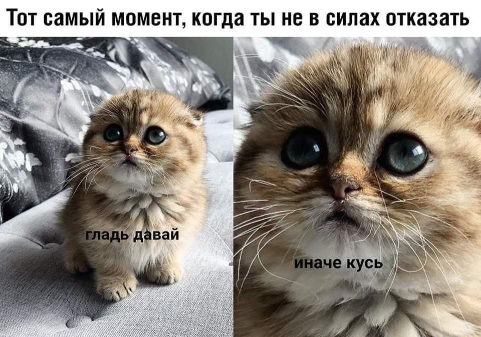 ТОТ самый МОМЕНТ когда ТЫ НЕ В силах ОТКЗЗЗТЬ