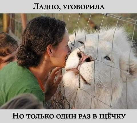 ЛАДЕО УГОВОРИЛА п Д Но только один РАЗВЩЁЧКУ