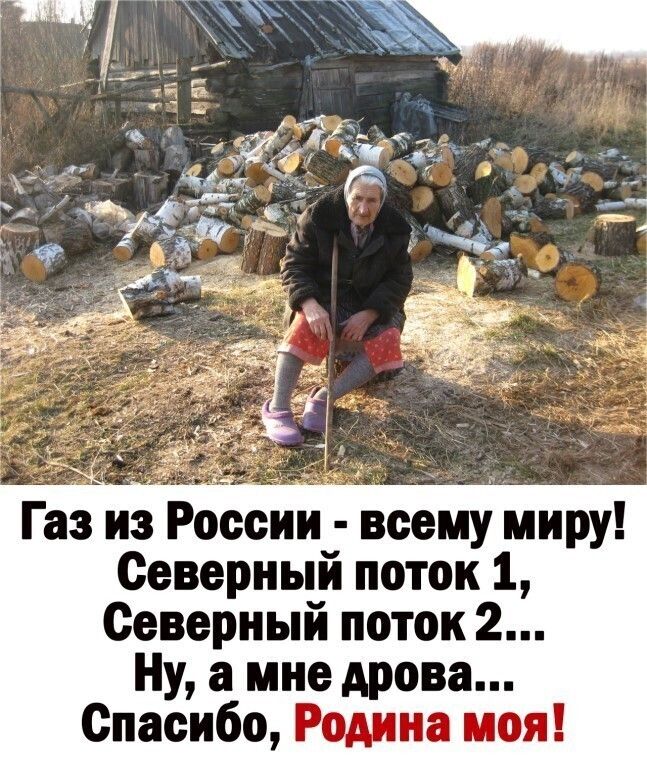 Газ из России всему миру Северный поток 1 Северный поток 2 Ну а мне дрова Спасибо Родина моя