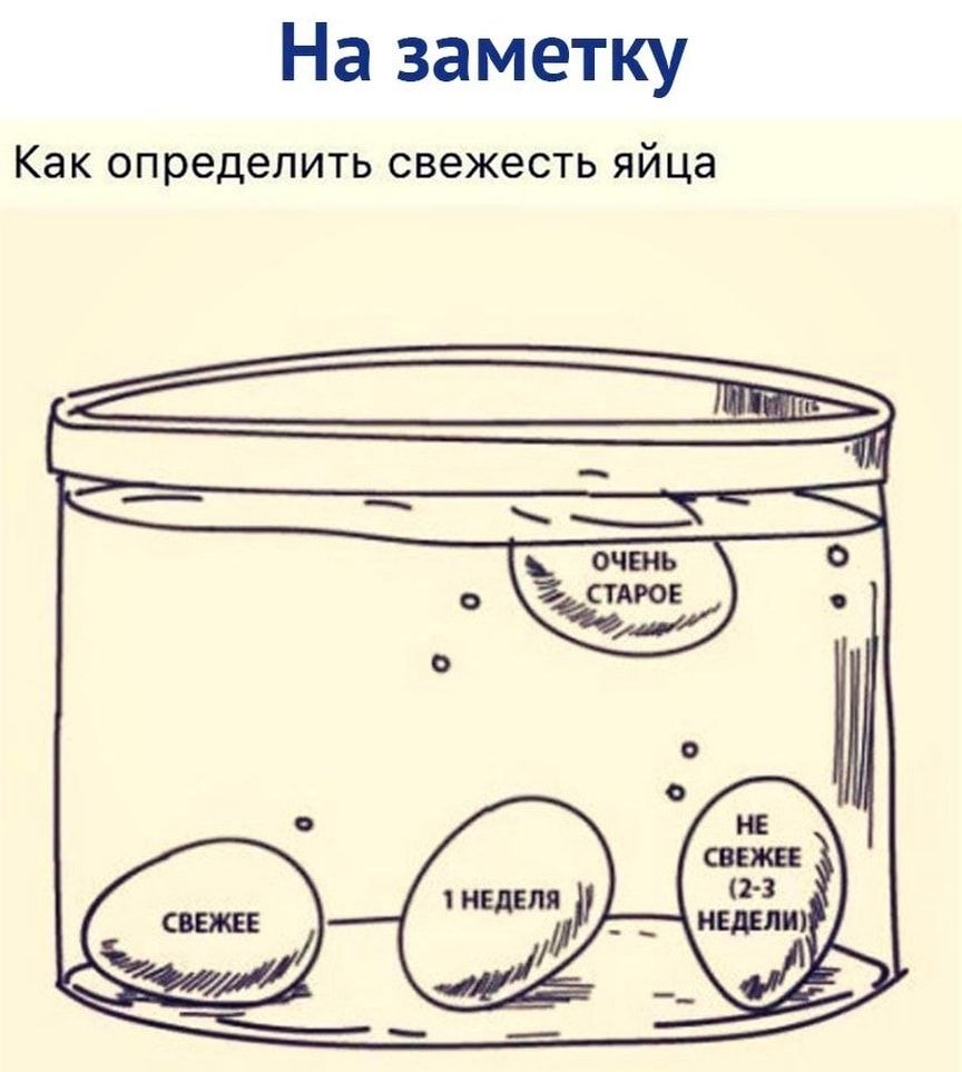 На заметку Как определить свежесть яйца 1 НЕДЕЛЯ
