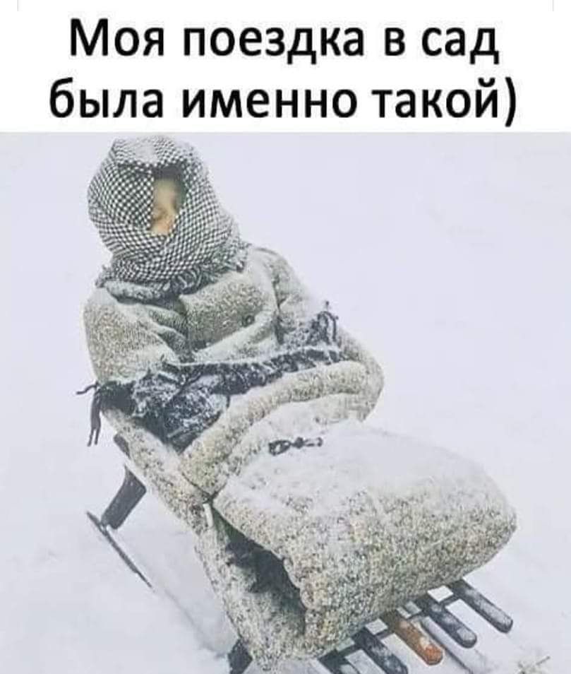 Моя поездка в сад была именно такой