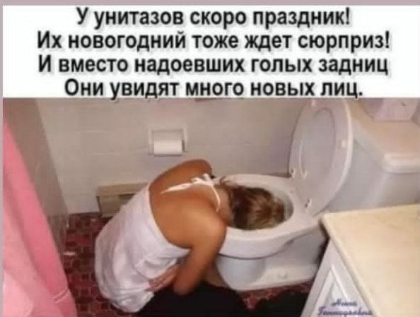 У унитазов скоро праздник Их новогодний тоже ждет сюрприз И вместо надоевших голых задниц Они увидят мшрго новых лиц