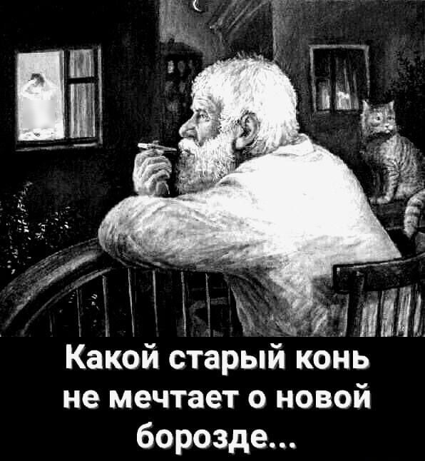 Какой старый конь не мечтает о новой борозде