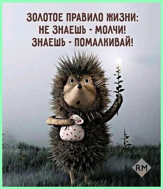ЗОАОТОЕ ПРАВИАО ЖИЗНИ НЕ ЗНАЕШЬ МОАЧИ ЗНАЕШЬ ПОМААНИВАИ