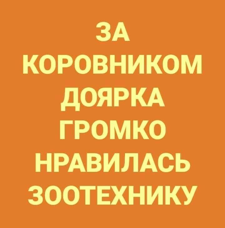 ЗА КОРОВНИКОМ дОЯРКА ГРОМКО НРАЗВИЛАСЬ ЗООТЕХНИКУ
