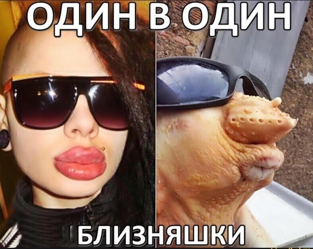близняш'жй