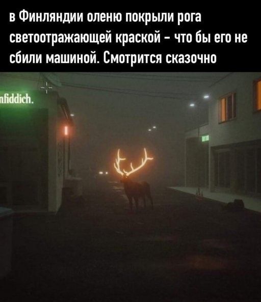 в Финляндии оленю покрыли рога светоотражающей краской что бы его не сбили машиной Смотрится сказочно