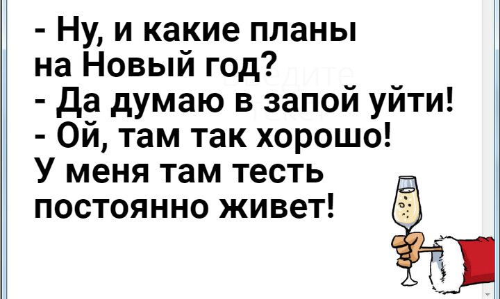 Ну и какие планы на Новый год да думаю в запой уйти Ой там так хорошо У меня там тесть постоянно живет