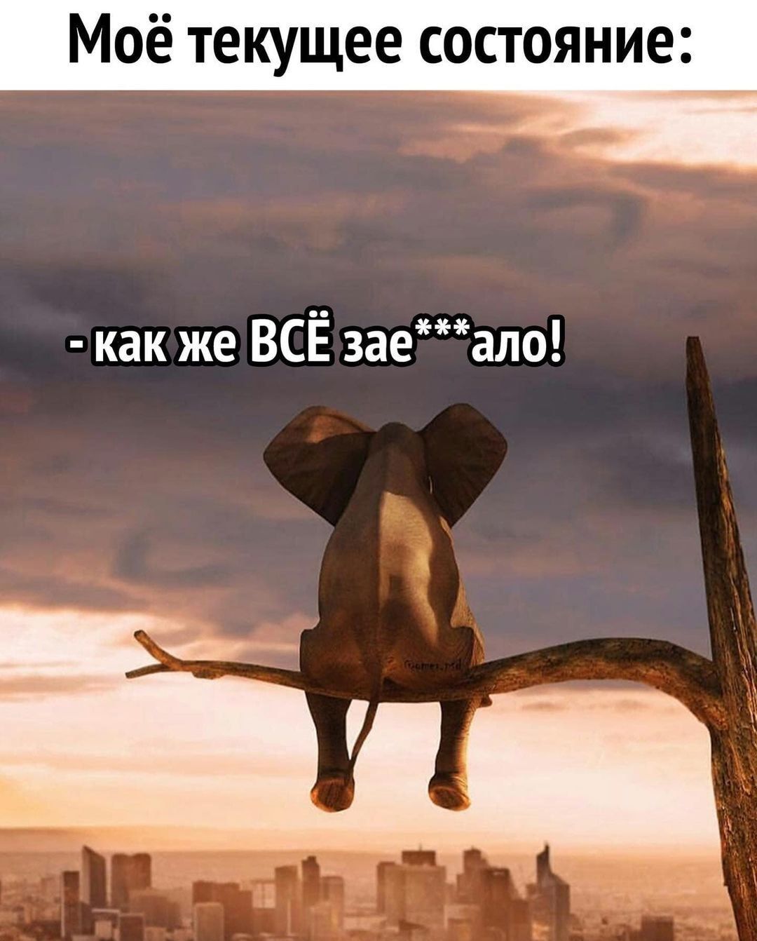 Моё текущее состояние как же ВСЁ заеало
