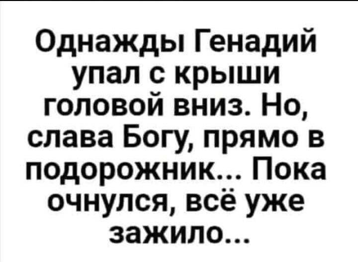 Однажды Генадий упал с крыши головой вниз Но слава Богу прямо в подорожник Пока очнулся всё уже зажило