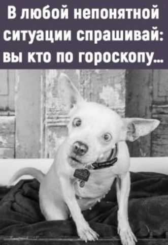 в любой непонятной ситуации спрашивай вы по по гороскопу