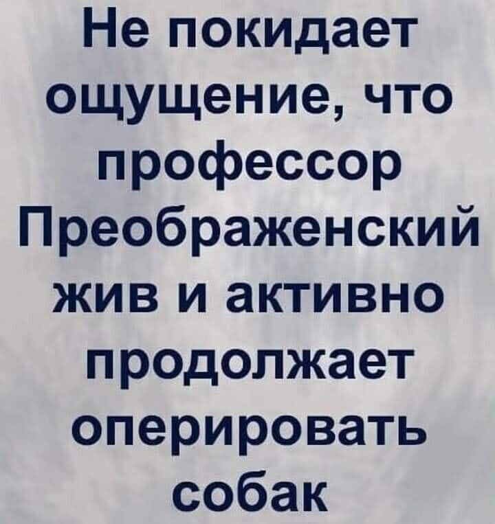 Не покидает ощущение что профессор Преображенский жив и активно продолжает оперировать собак