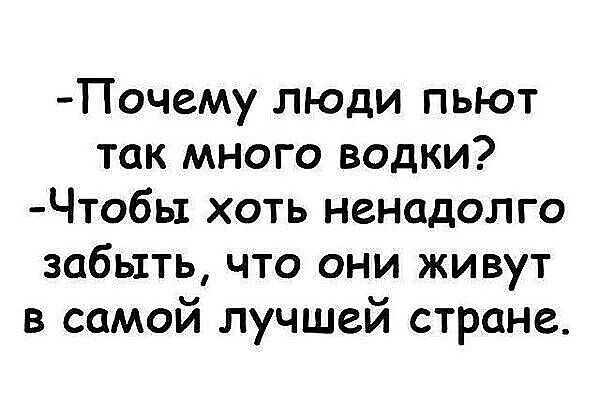Почему люди пьют так много водки ЧтобЬ1 хоть ненадолго забыть что они живут в самой лучшей стране
