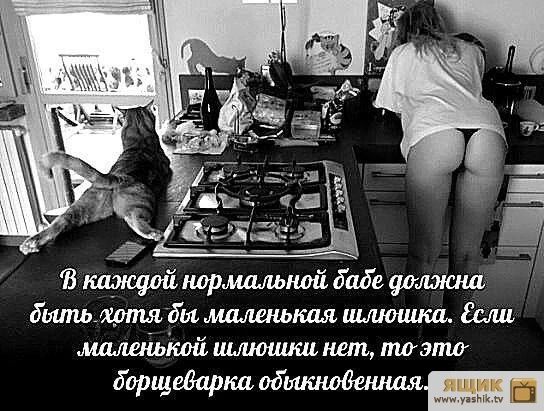13 каждой нормальной бабе дошиш