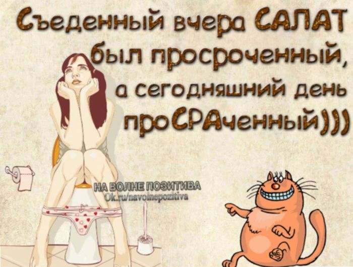 Съеденный вчера САЛАТ был просрочен юй сегодншний день А проСРАченный