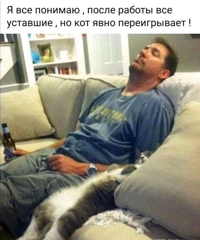 Я все понимаю  после работы все уставшие  но кот явно переигрывает !