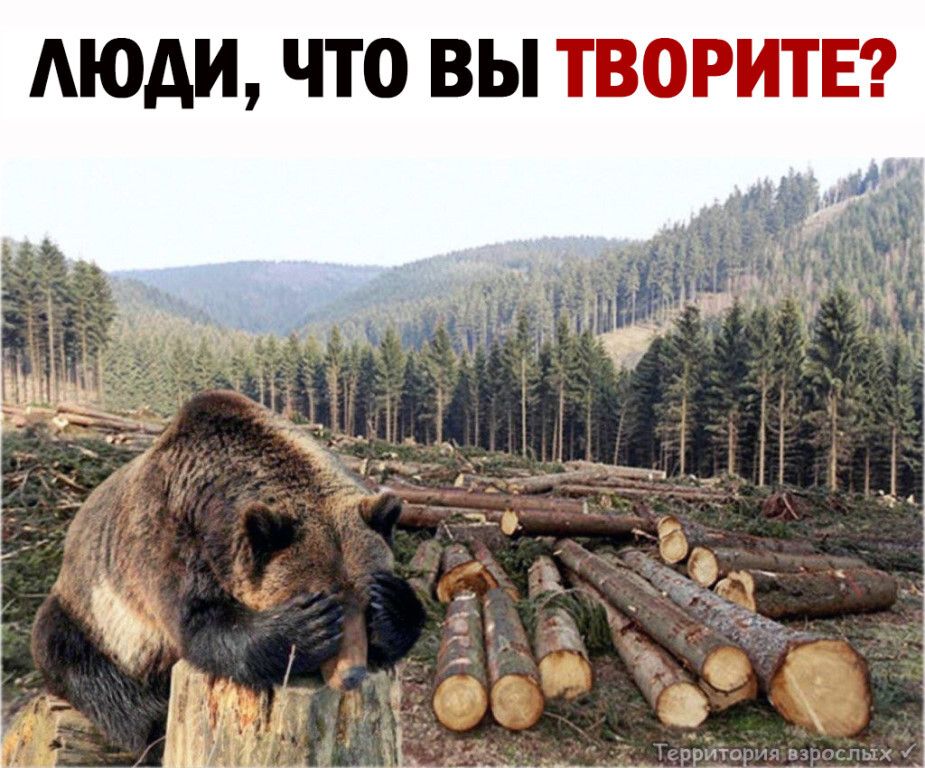 АЮАИ ЧТО ВЫ ТВОРИТЕ