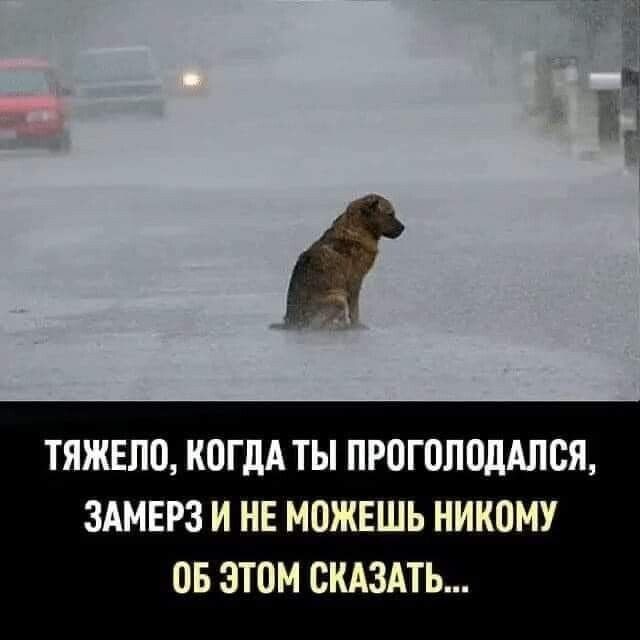 ТЯЖЕЛО КОГДА ТЫ ПРОГОЛОДАПОЯ ЗАМЕРЗ И НЕ МОЖЕШЬ НИКОМУ ОБ ЭТОМ СКАЗАТЬ